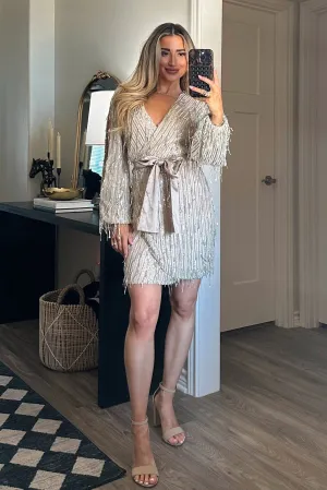 Everything I Wanted Fringe Sequin Dress: Champagne