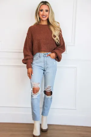 Hallie Cropped Sweater: Brown